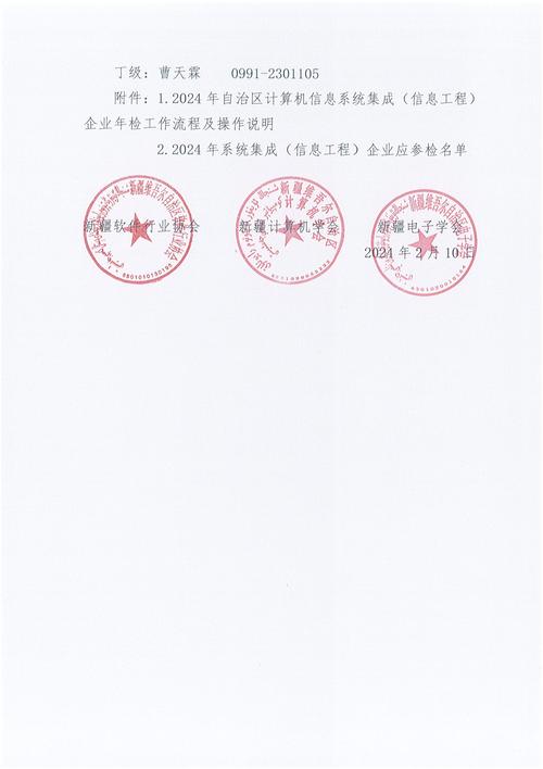 关于开展2024年度自治区计算机信息系统集成